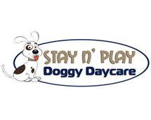 Stay n' Play